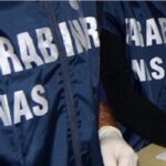 carabinieri-nas