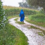 pioggia in campagna