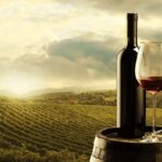 vino