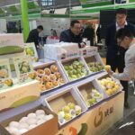 ortofrutta italiana in cina
