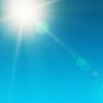 sole