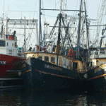 navi da pesca