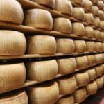 parmigiano