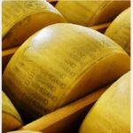 parmigiano
