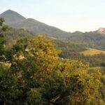 Rocchetta Appennino Bolognese