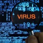 Virus