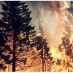 incendio boschivo