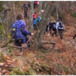 trekking