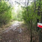 via Francigena