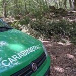 carabinieri forestali 2
