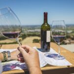 Vino bertinoro