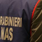 cc nas