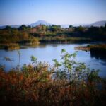 fiume ronco