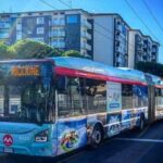 bus metromare