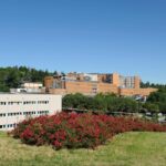ospedale bufalini di cesena