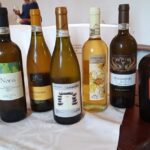 I 7 Albana finalisti