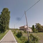 Pioppo di via Portolani
