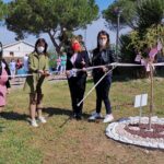 albero in memoria di Sabrina