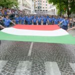 alpini bandiera