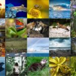 biodiversità