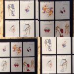 dettaglio mostra