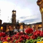 fiori sotto la rocca di Forlimpopoli