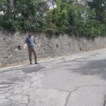 moretti sulla strada provinciale