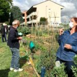 ortando concorso cesena