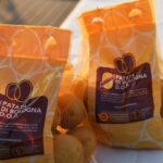 Patata di Bologna dop