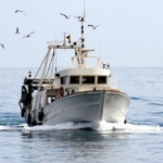 barca da pesca