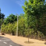 viale Tasso