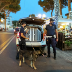 Polizia Locale Rimini con unità cinofile