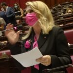 Vietina intervento in aula