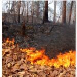 incendi