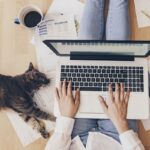 lavoro al pc 2