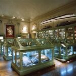 Museo di Palazzo Poggi