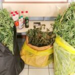 droga sequestrata
