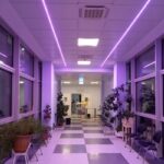 illuminazione rosa