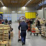 mercato ortofrutticolo cesena