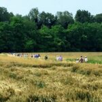 valle ronco bidente