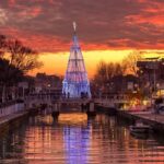 albero al porto di riccione
