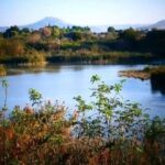 fiume ronco