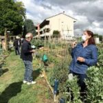 ortando progetto