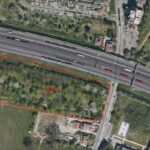 Back view of young man relaxing on couch at home