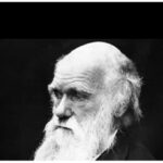 Darwin