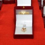Premio Avis