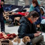 profughi ucraina ph imagoeconomica – interno.gov.it