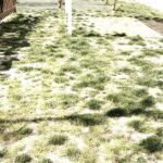 Prato posato a rotoli