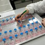 analisi per infleunza aviaria