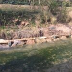 fiume montone
